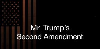 Second Amendment Donald Trump