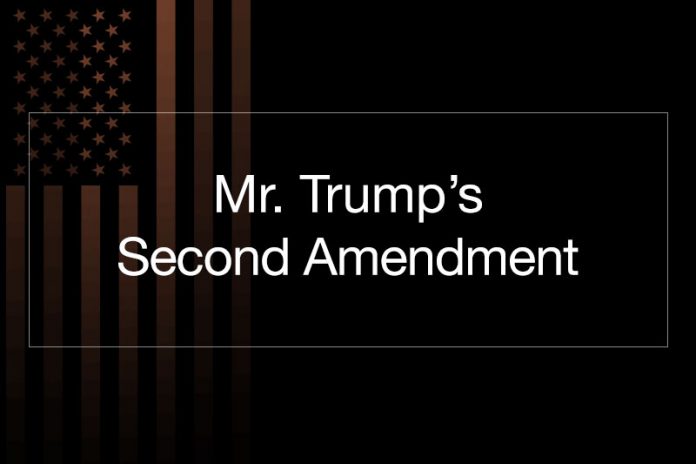 Second Amendment Donald Trump