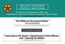 Militia Officer