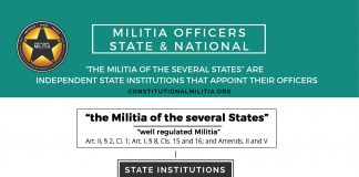 Militia Officer