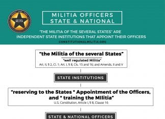 Militia Officer Selection Militia Officer