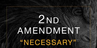 Necessary Second Amendment