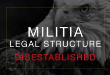 Disestablishing the Militia