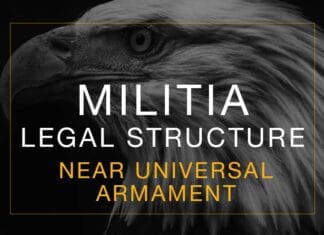 Militia Structure: Near Universal Armament Militia Armament