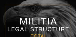 Militia Organization
