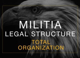 Militia Organization