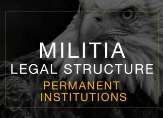 Militia: Permanent Constitutional Institutions Constitutional Institutions