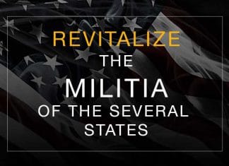 Revitalize the Constitutional Militia
