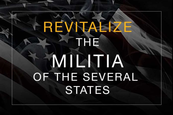 Revitalize the Constitutional Militia