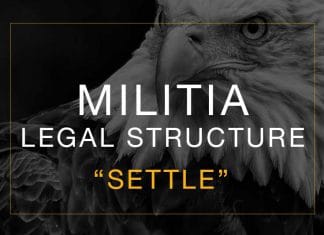 Settle the Militia