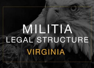 Virginia MIlitia