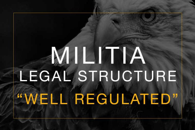 well-regulated-militia-constitutional-militia