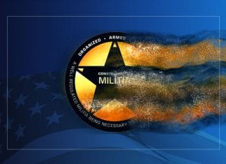 Why Have the Militia Faded as a Popular Concern? Militia interest