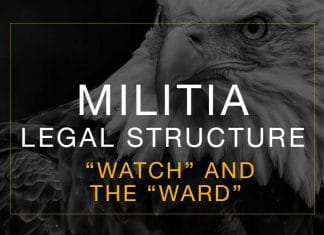 The Watch and the Ward